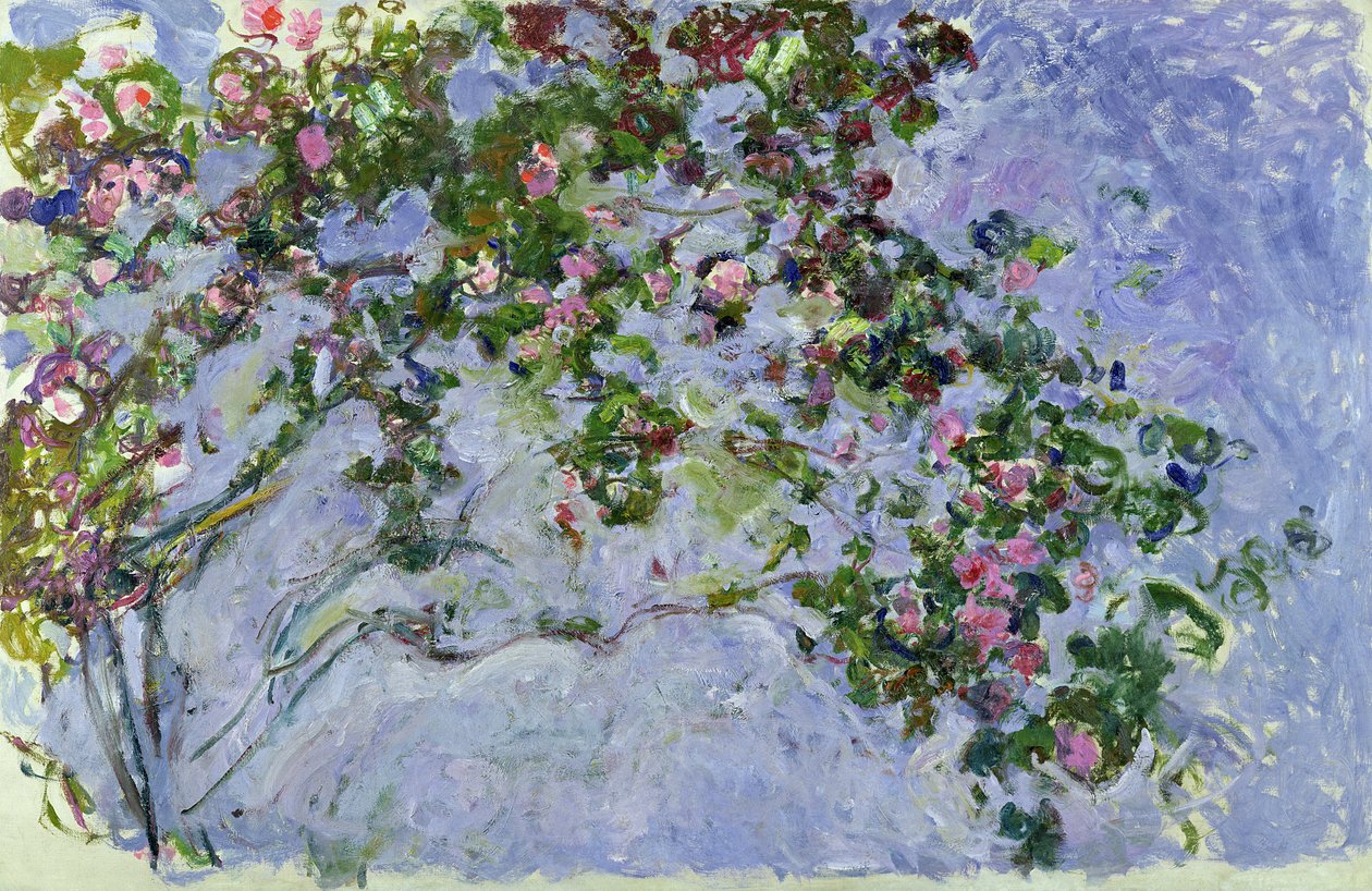 Güller, 1925-26 by Claude Monet