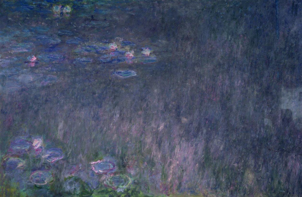 Nilüferler: Ağaçların Yansımaları, soldan detay, 1915-26 by Claude Monet