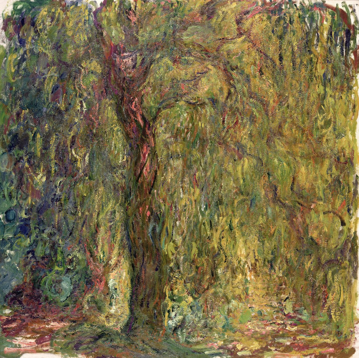 Ağlayan Söğüt, 1918-19 by Claude Monet