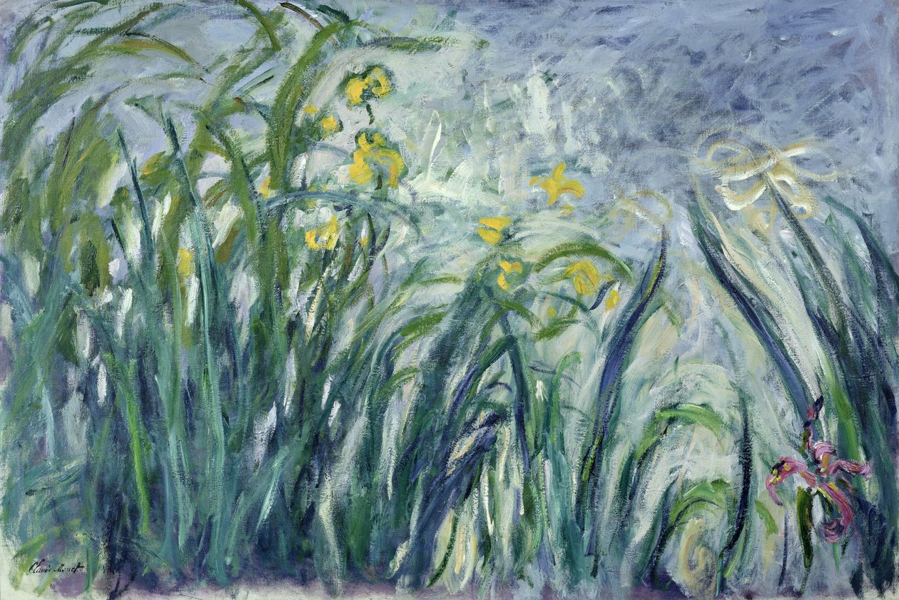 Sarı ve Mor İrisler, 1924-25 (bkz. detay 414407) by Claude Monet