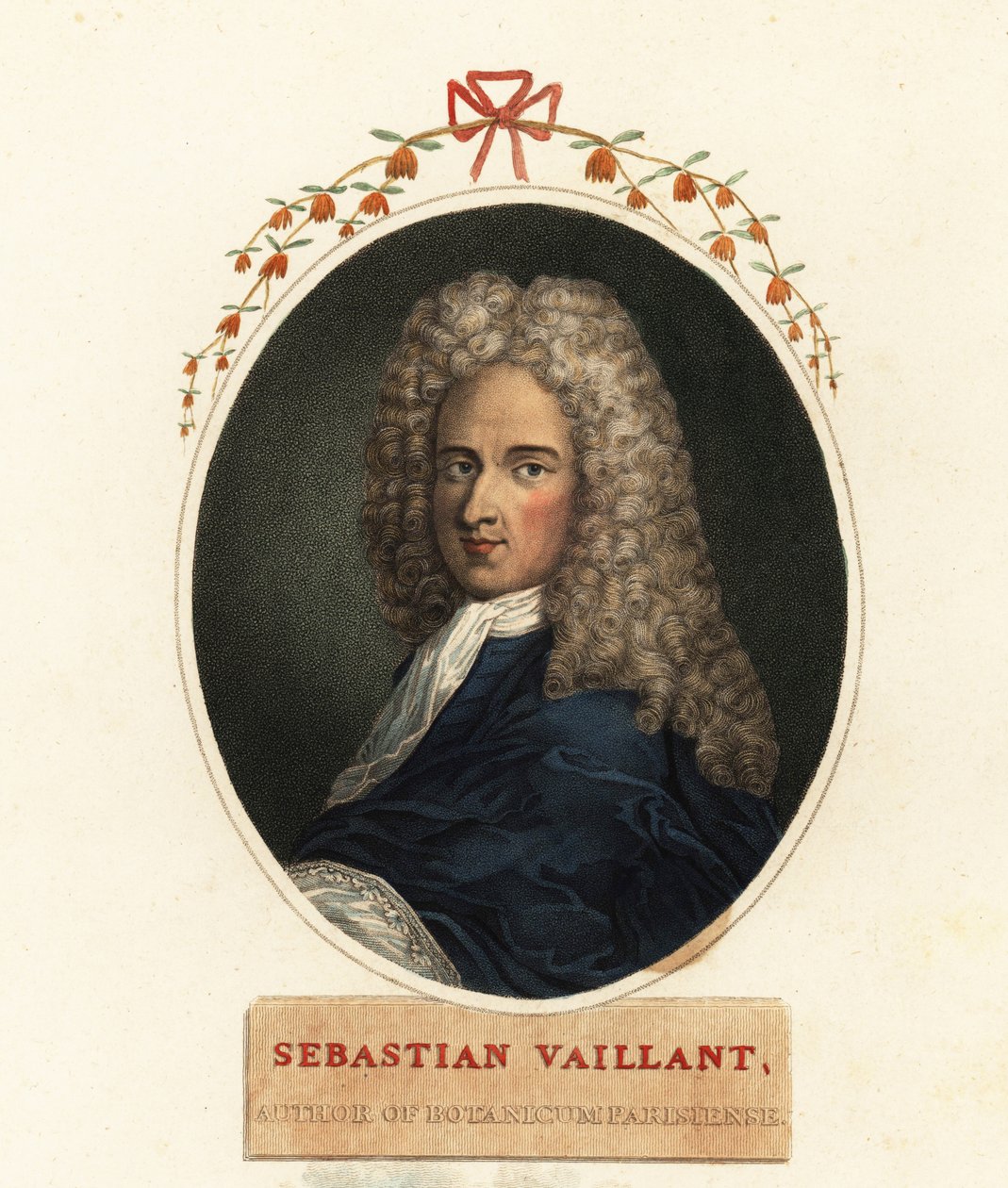 Fransız botanikçi Sebastian Vaillant