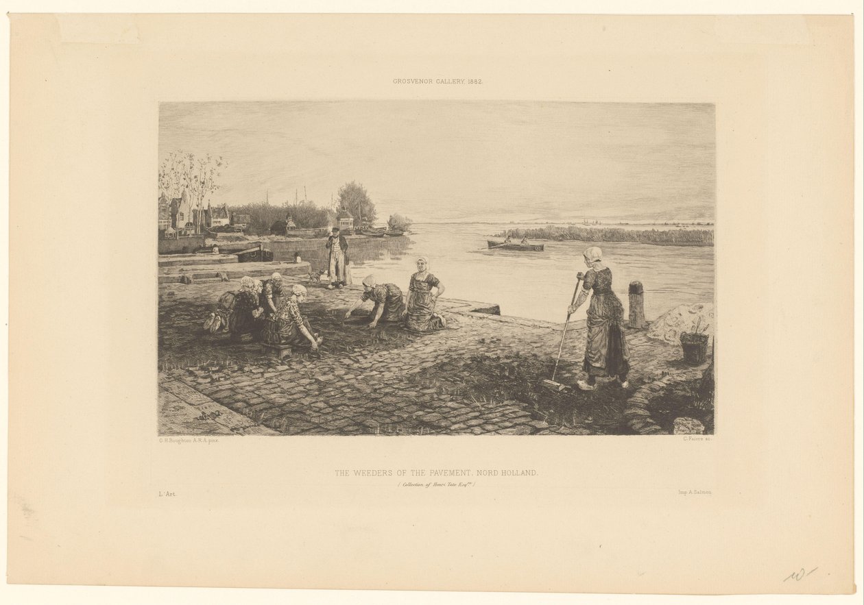 Kuzey Hollanda