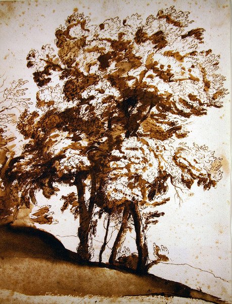 Güneş ışığında bir grup ağaç (kalem ve mürekkep ve kağıt üzerinde yıkama) by Claude Lorrain