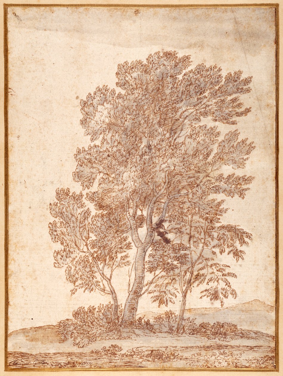 Üç Ağaç (kağıt üzerinde gri yıkamalı kalem ve kahverengi mürekkep) by Claude Lorrain