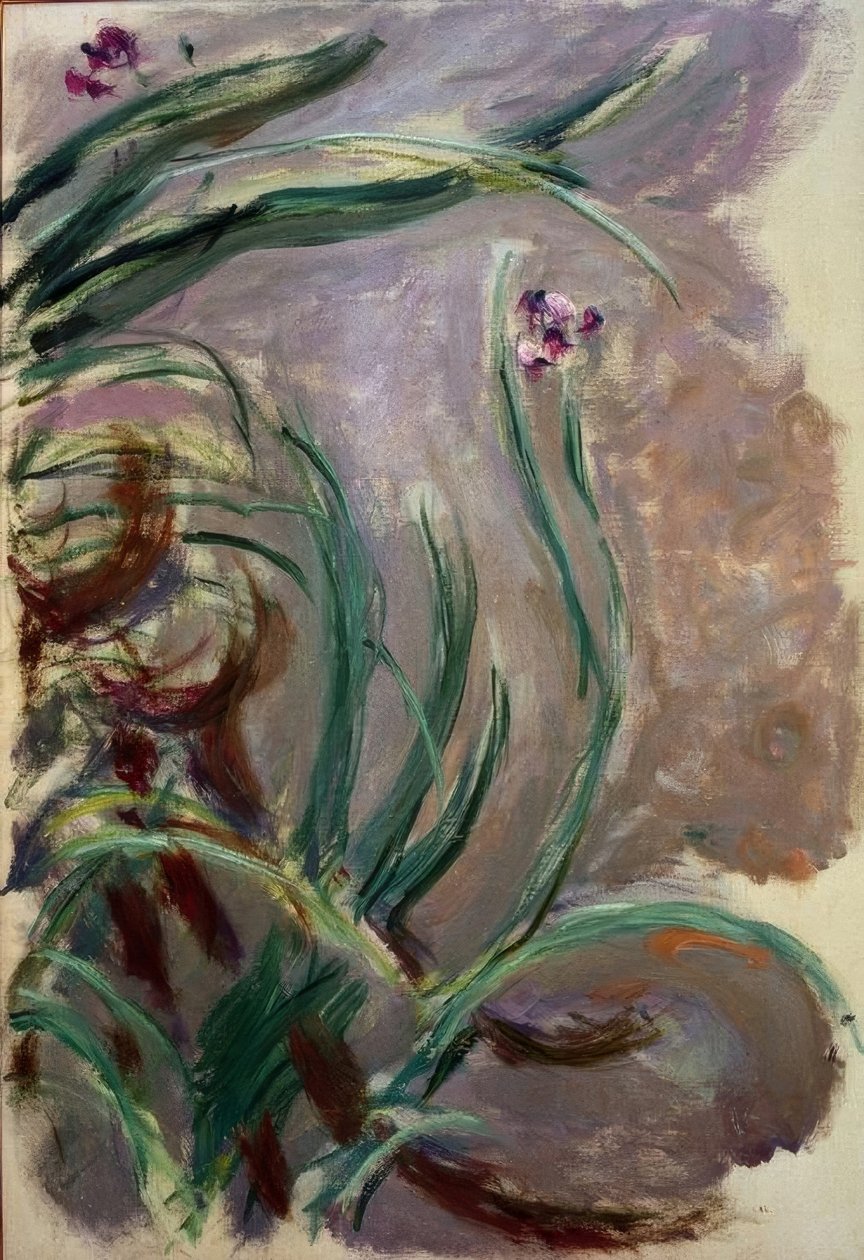 İris (İrisler) by Claude Monet