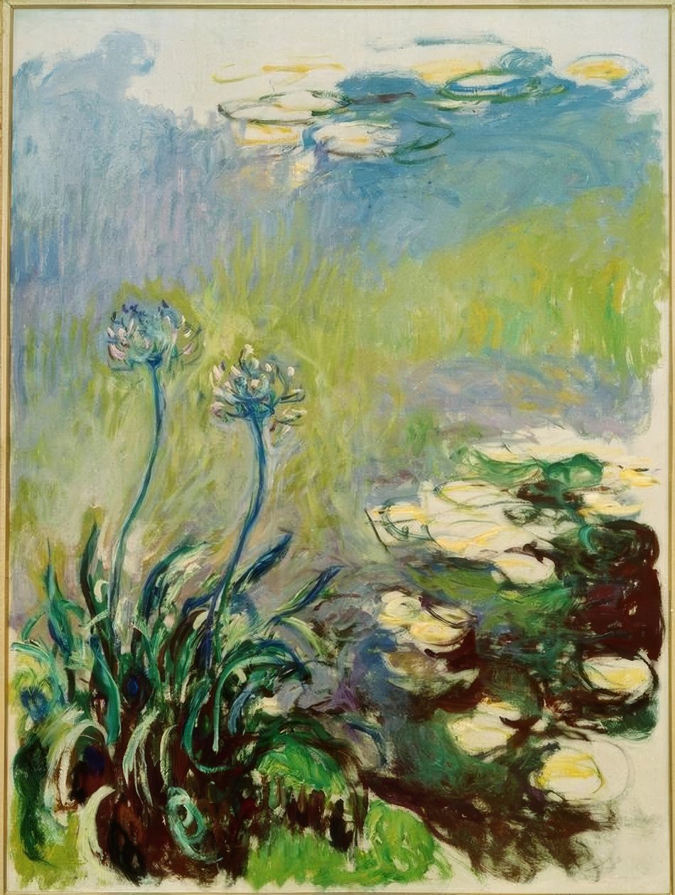 les agapanthes by Claude Monet