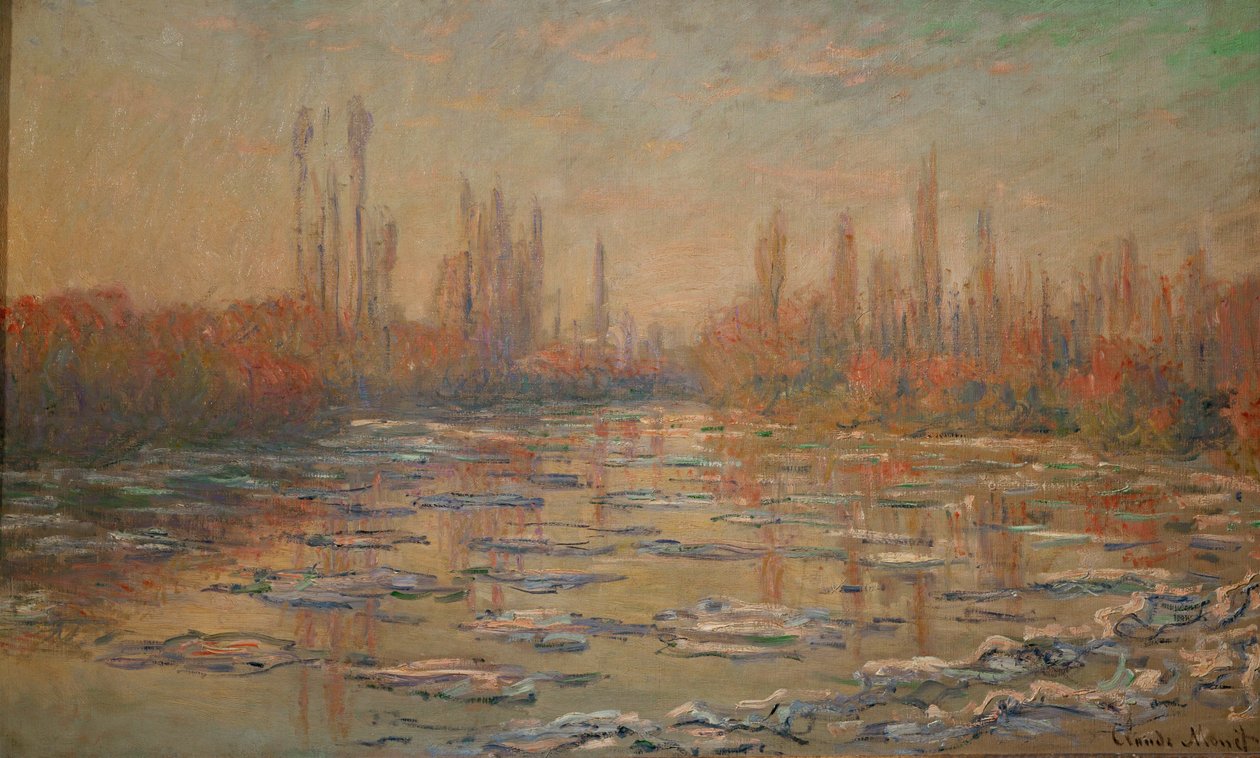 Les glacons ou debacle sur la Seine (tuval üzerine yağlıboya) by Claude Monet