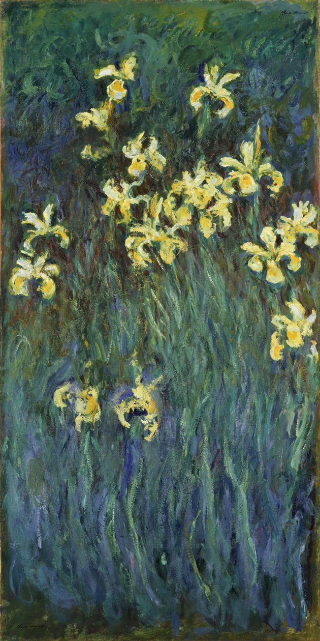 Sarı Süsenler - Claude Monet (1840-1926) tarafından tablo, tuval üzerine yağlı boya by Claude Monet