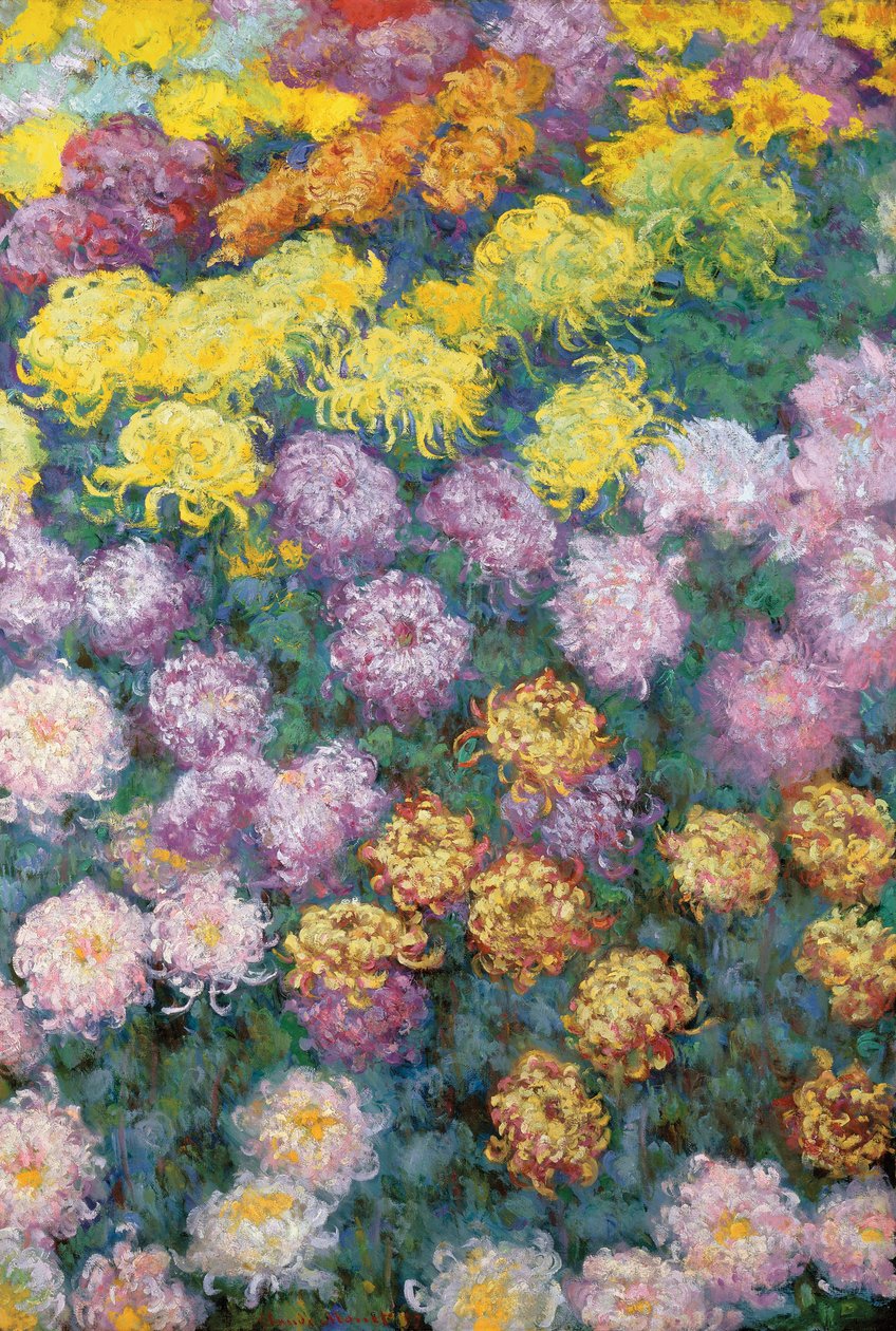 Massif de Krizantemler by Claude Monet