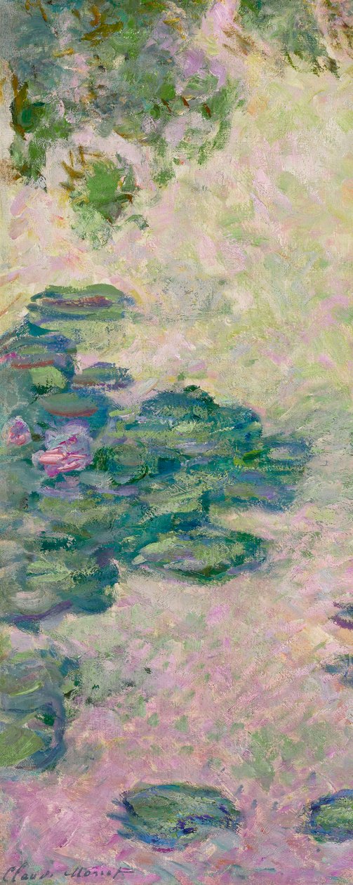 Nilüferler (parça), 1912 dolayları (tuval üzerine yağlıboya) by Claude Monet