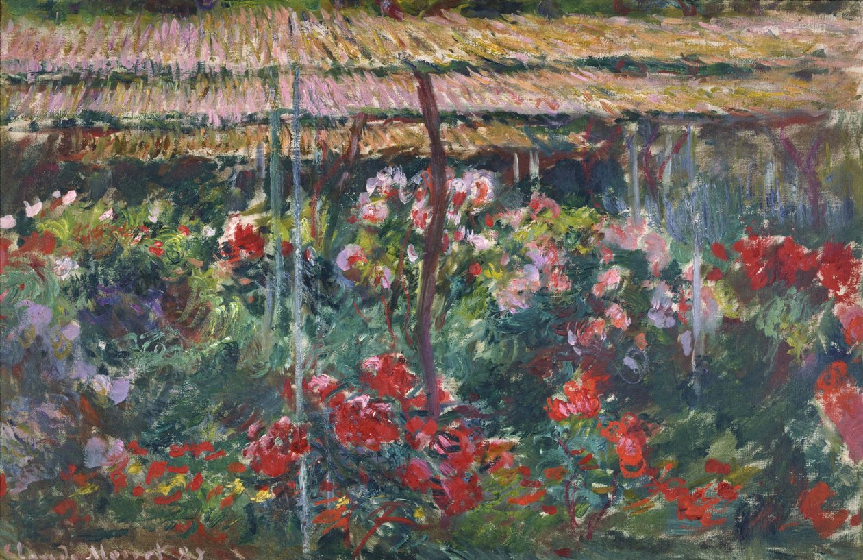 Şakayık Bahçesi, 1887 by Claude Monet
