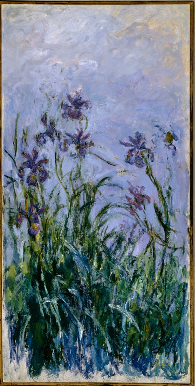 Mor Süsenler, 1914-17 by Claude Monet