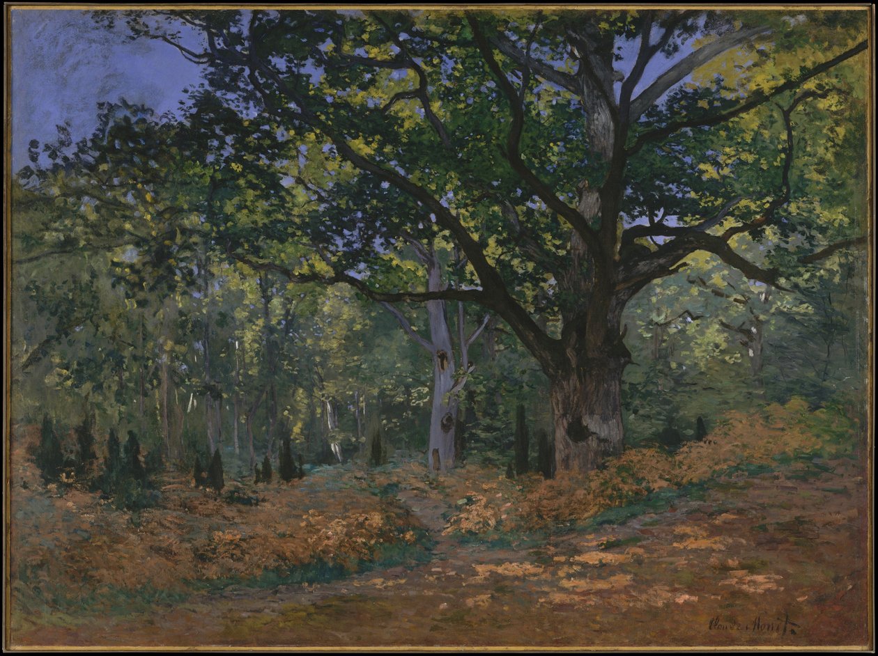 Bodmer Meşe, Fontainebleau Ormanı, 1865 by Claude Monet