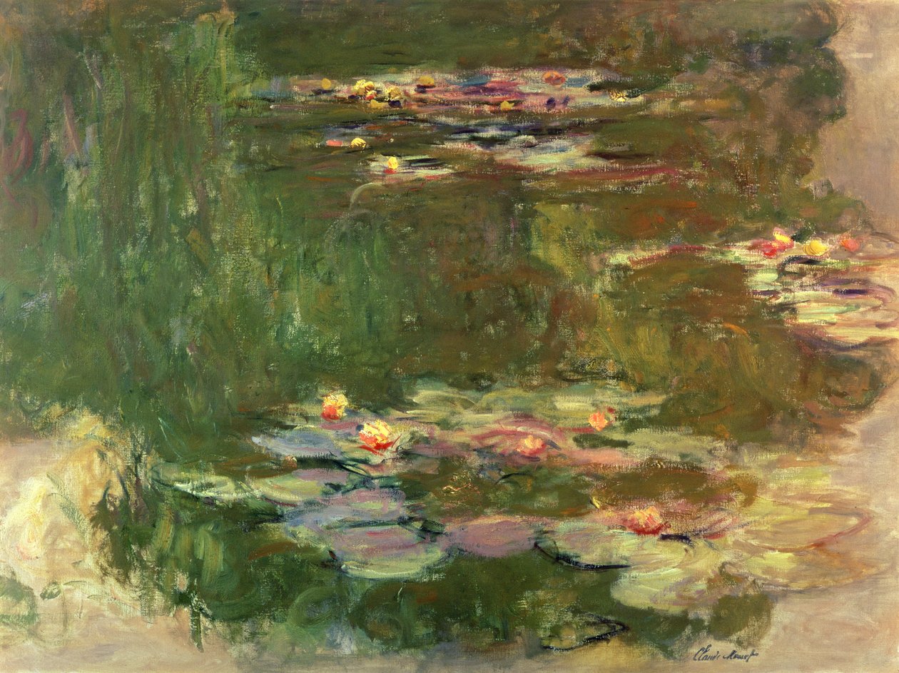 Zambak Göleti, c.1917 by Claude Monet