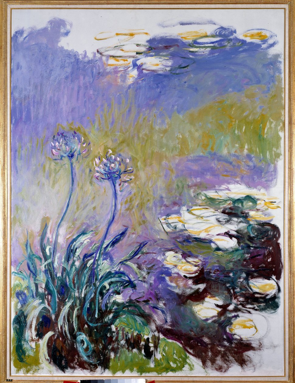 agapanthus by Claude Monet