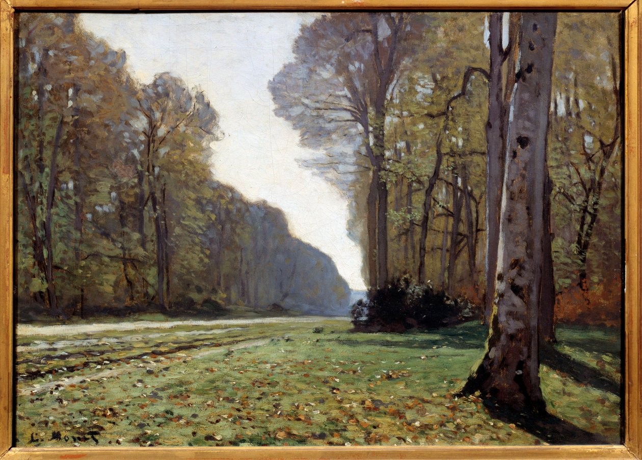 Chailly serme yeri, Fontainebleau, 1865 dolayları (tuval üzerine yağlı boya) by Claude Monet
