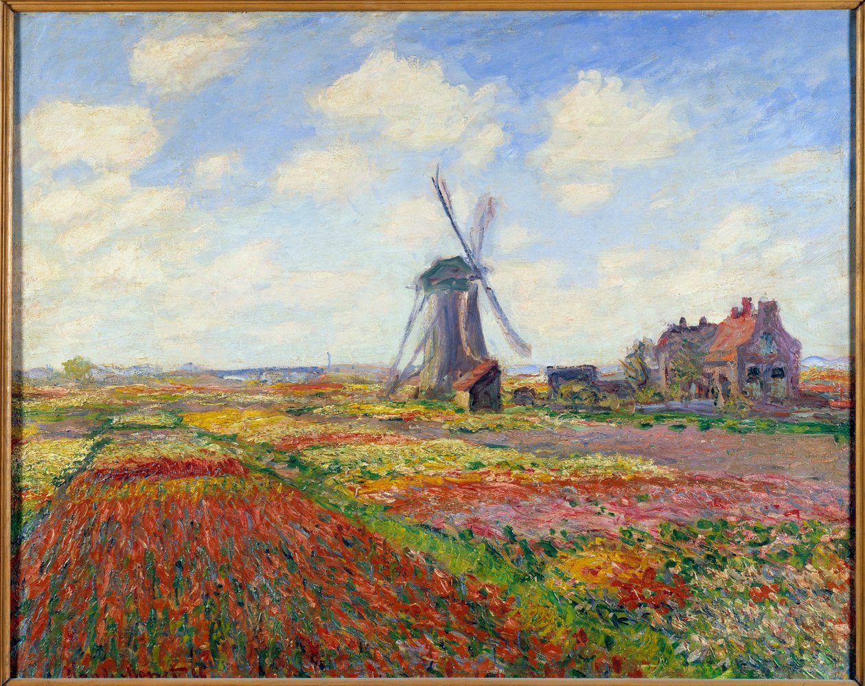 Hollanda'daki Lale Tarlaları (yel değirmeni ile) by Claude Monet