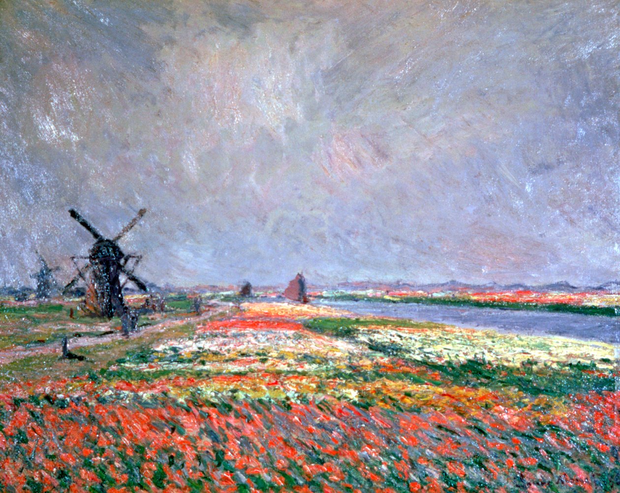 Leiden yakınlarındaki lale tarlaları, 1886 by Claude Monet