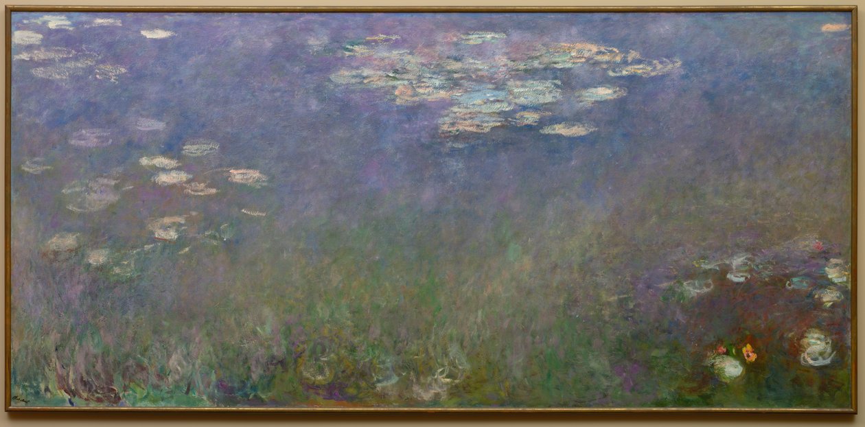 Nilüferler (Agapanthus), c.1915-26 (tuval üzerine yağlıboya) by Claude Monet