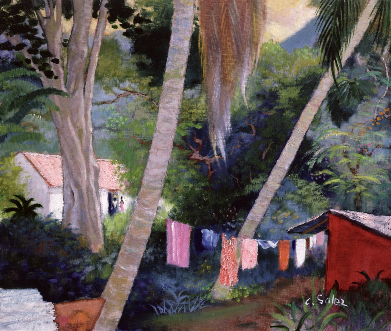 Kurutma Yıkama, Guadeloupe by Claude Salez