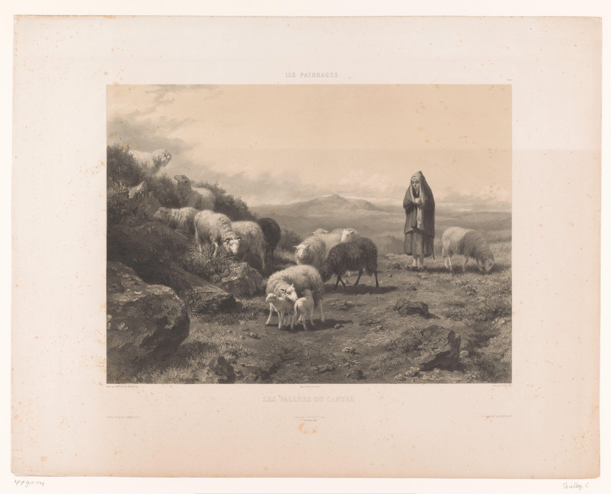 Cantal Les vallées du Cantal ovasında koyunlu çoban (nesne üzerine başlık) Meralar (dizi başlığı) Les paturages (nesne üzerine dizi başlığı) by Claude Thielley