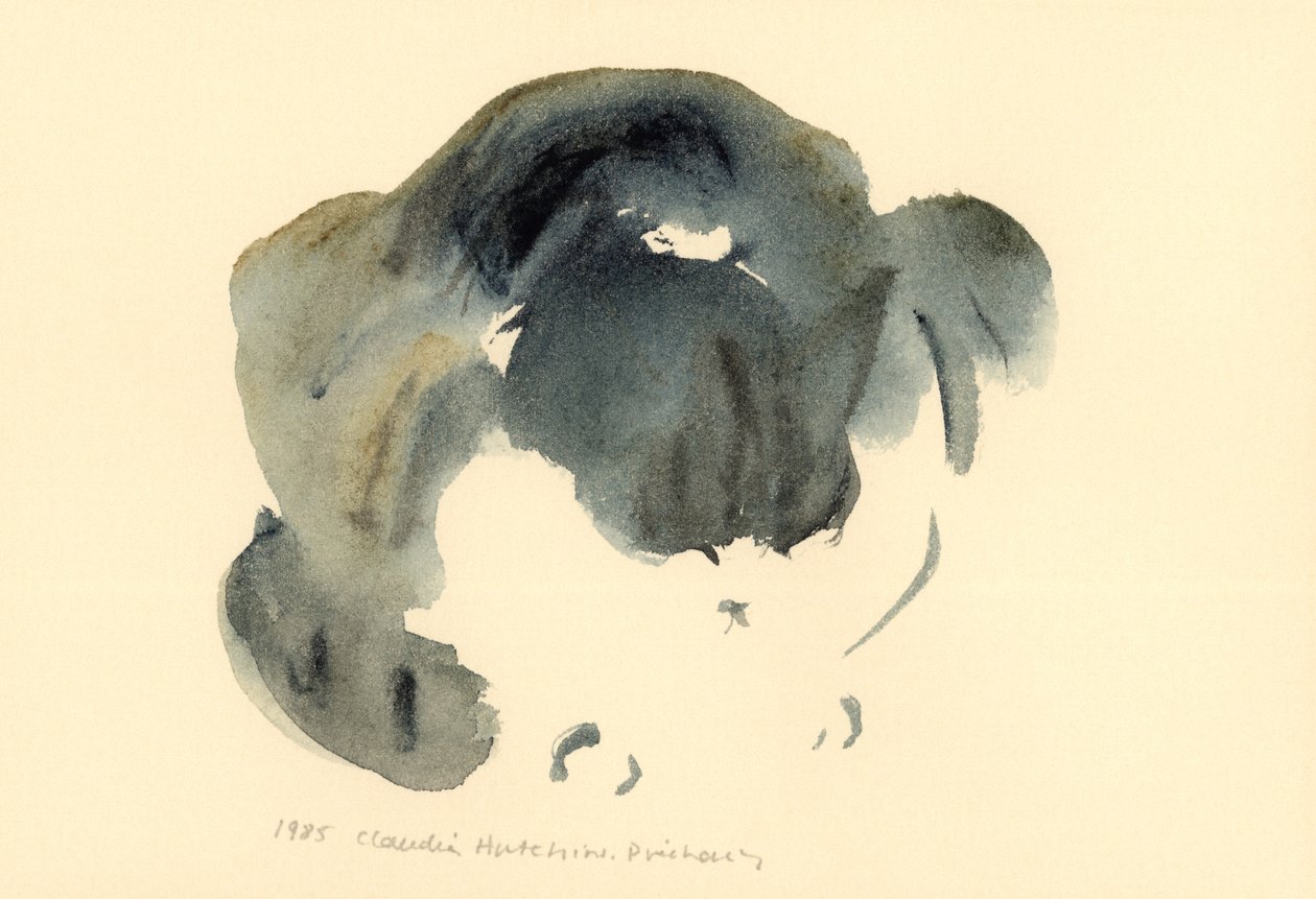 Kedi, 1985 (sulu boya) by Claudia Hutchins Puechavy