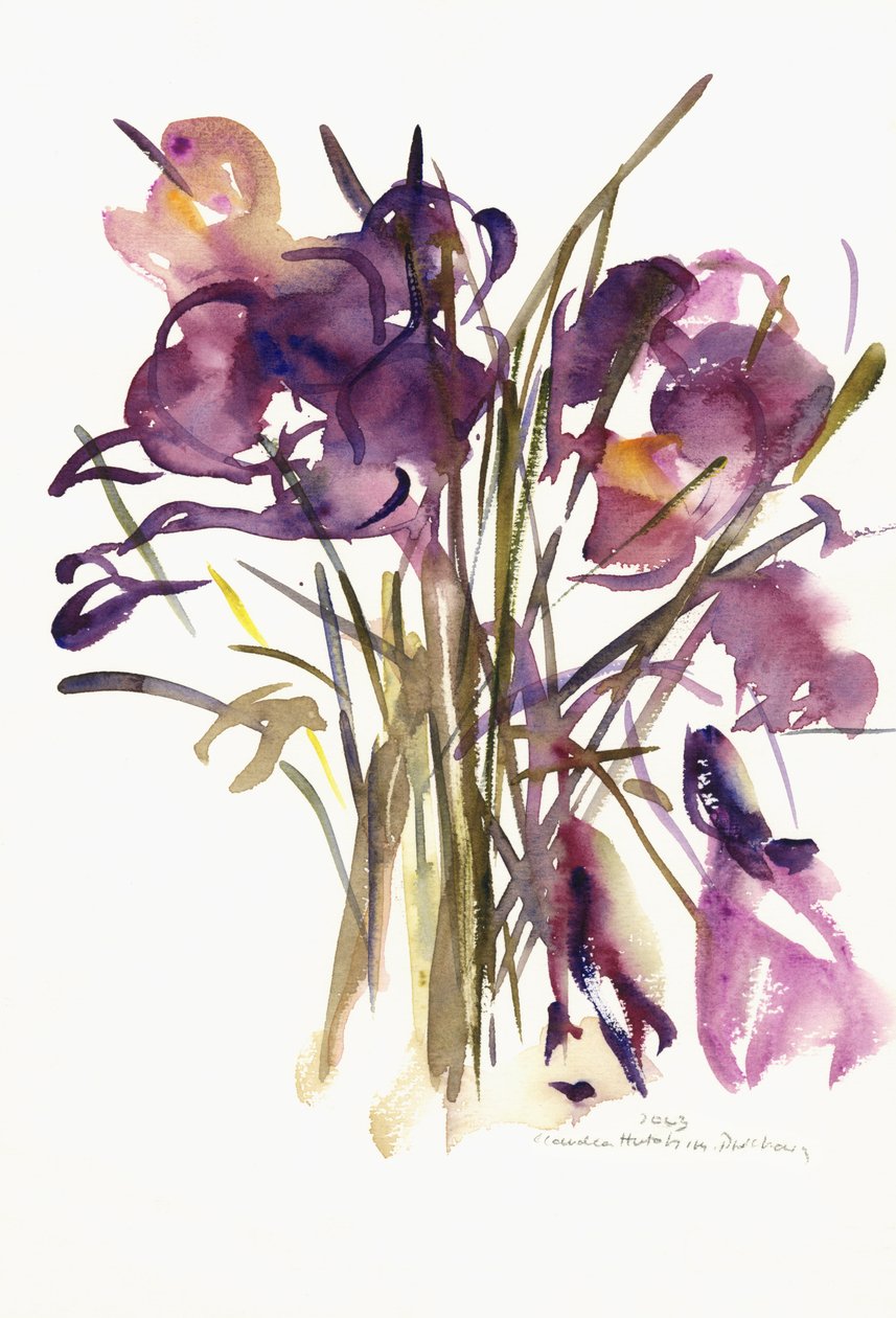 Çiğdem, 2003 (sulu boya) by Claudia Hutchins Puechavy