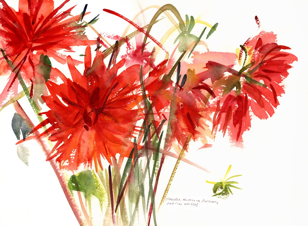 Yıldızçiçekleri, 2002 (suluboya) by Claudia Hutchins Puechavy
