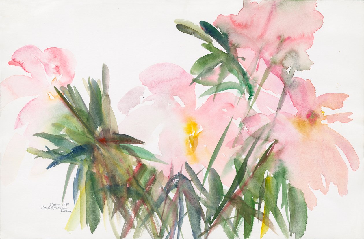 Peonies, 1987, (kağıt üzerine sulu boya) by Claudia Hutchins Puechavy
