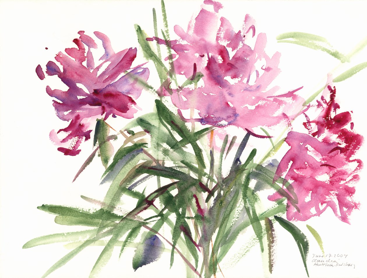 Şakayık, 2004 (sulu boya) by Claudia Hutchins Puechavy