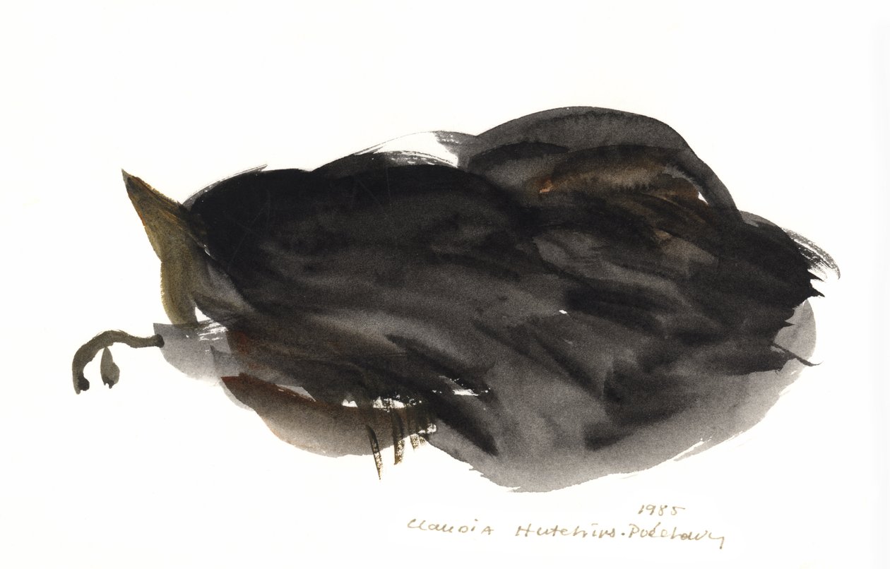 Uyuyan Kedi, 1985 (sulu boya) by Claudia Hutchins Puechavy