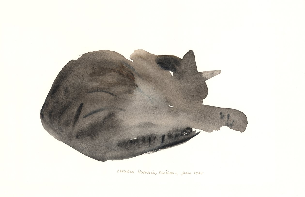 Uyuyan kedi, 1985 (sulu boya) by Claudia Hutchins Puechavy