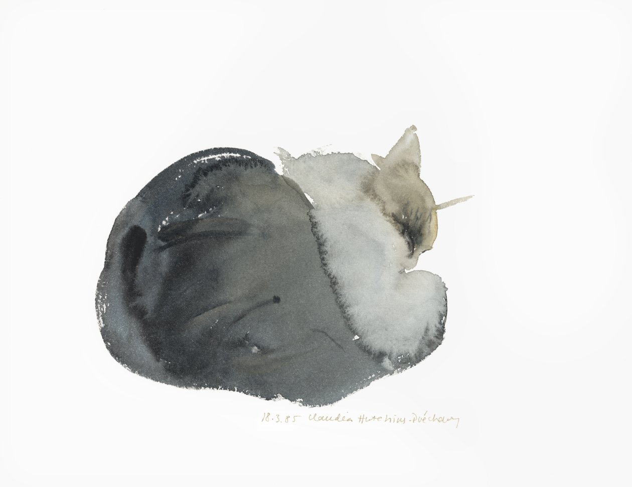 Uyuyan kedi, 1985 (sulu boya) by Claudia Hutchins Puechavy