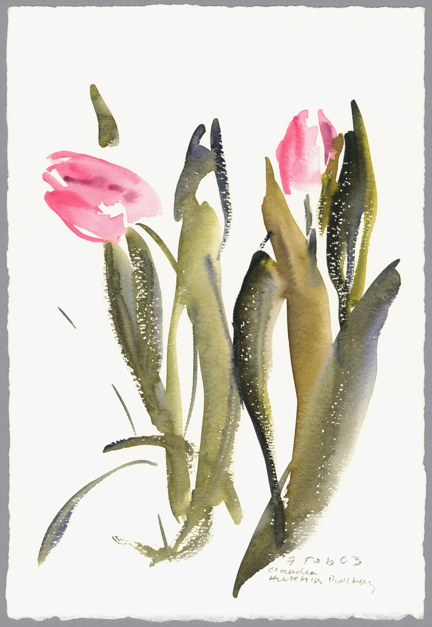 Laleler, 2003 (sulu boya) by Claudia Hutchins Puechavy