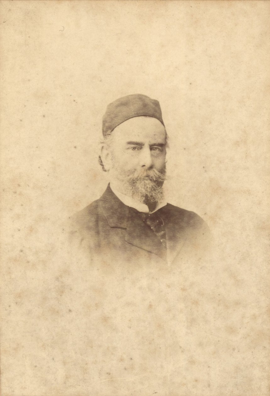 ಆಲ್ಫ್ರೆಡ್ ಸಿಸ್ಲೆ (1839-99) (ಸೆಪಿಯಾ ಫೋಟೋ) ಟರ್ಕ್ ಅವರ ಭಾವಚಿತ್ರ by Clement Maurier