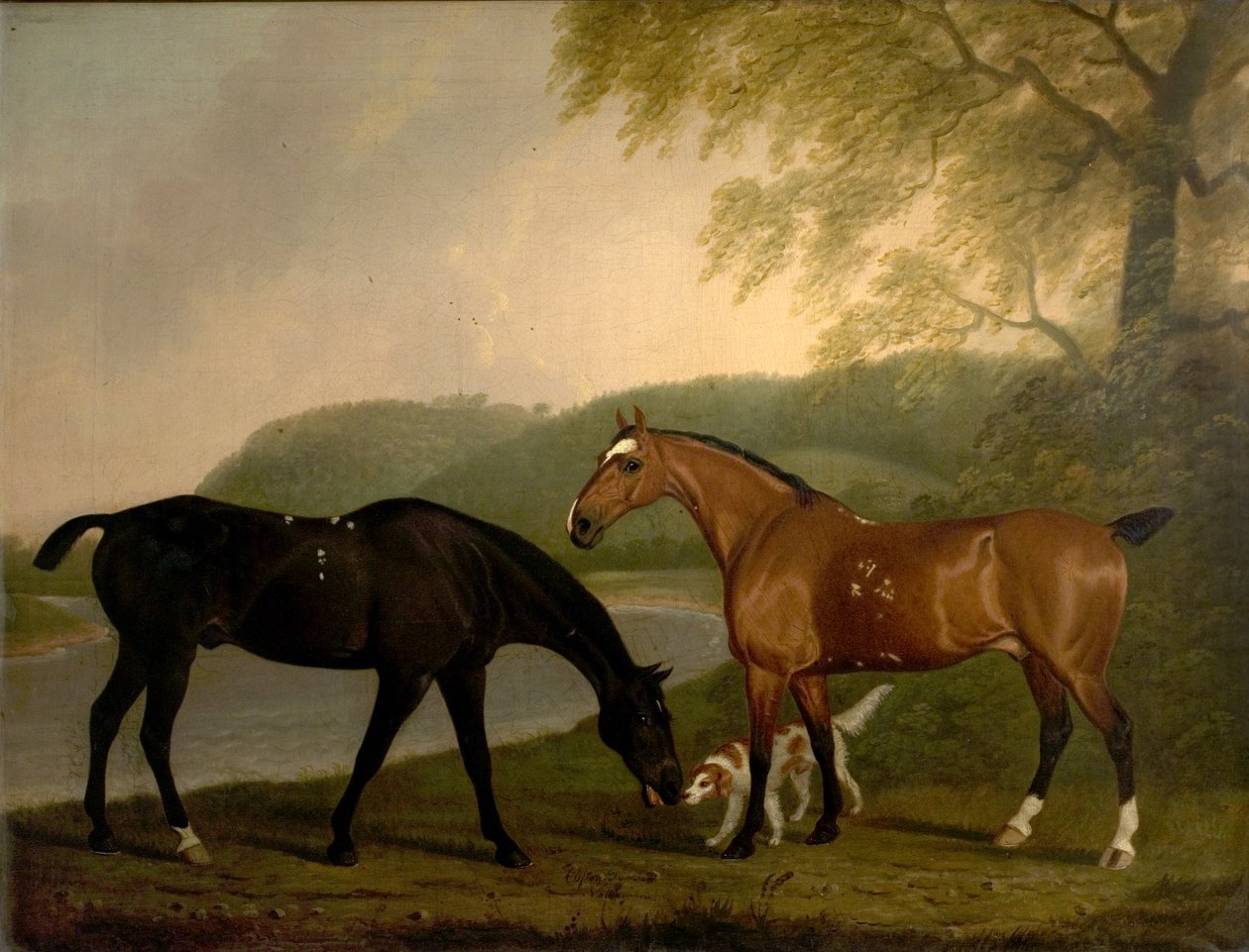 Bir Manzarada Atlar ve Köpek, 1830 dolayları by Clifton Tomson