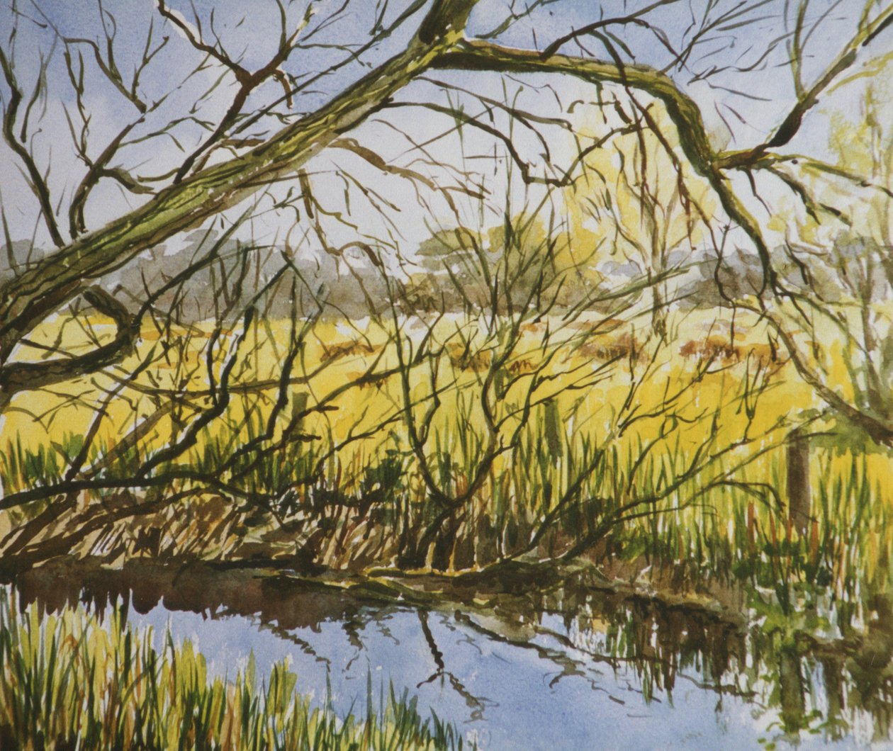 Water Meadows, Kintbury, Mayıs başında öğleden sonra by Clive Wilson
