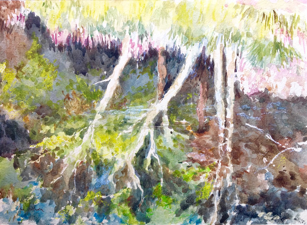 Ormanlık alan yansımaları, Silver Lake, 2017 (suluboya) by Clive Wilson