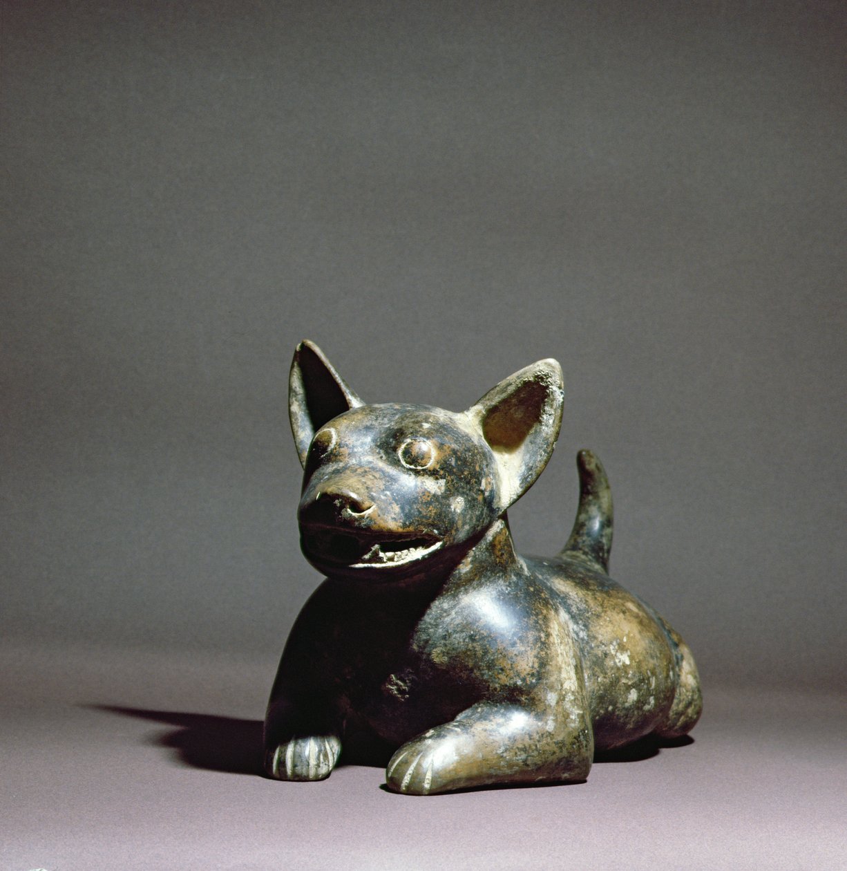 Colima yarı yatan Köpek, MÖ 300 - MÖ 500 (seramik) by Colima Culture
