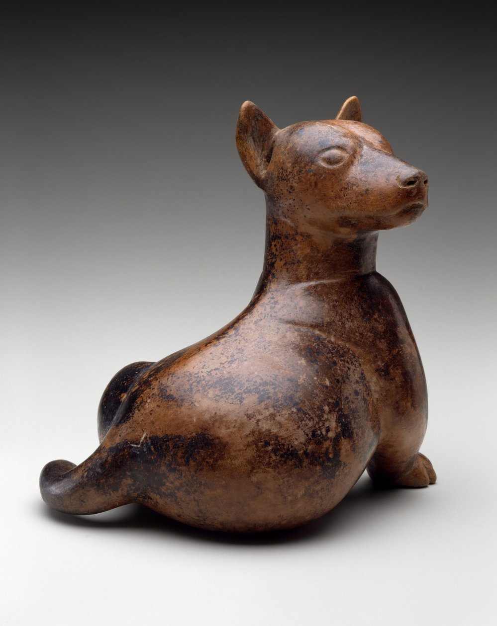 Yarım Oturan Köpek, Meksika, Proto-Classic, MÖ 100-MS 300 (toprak çanak çömlek) by Colima Culture