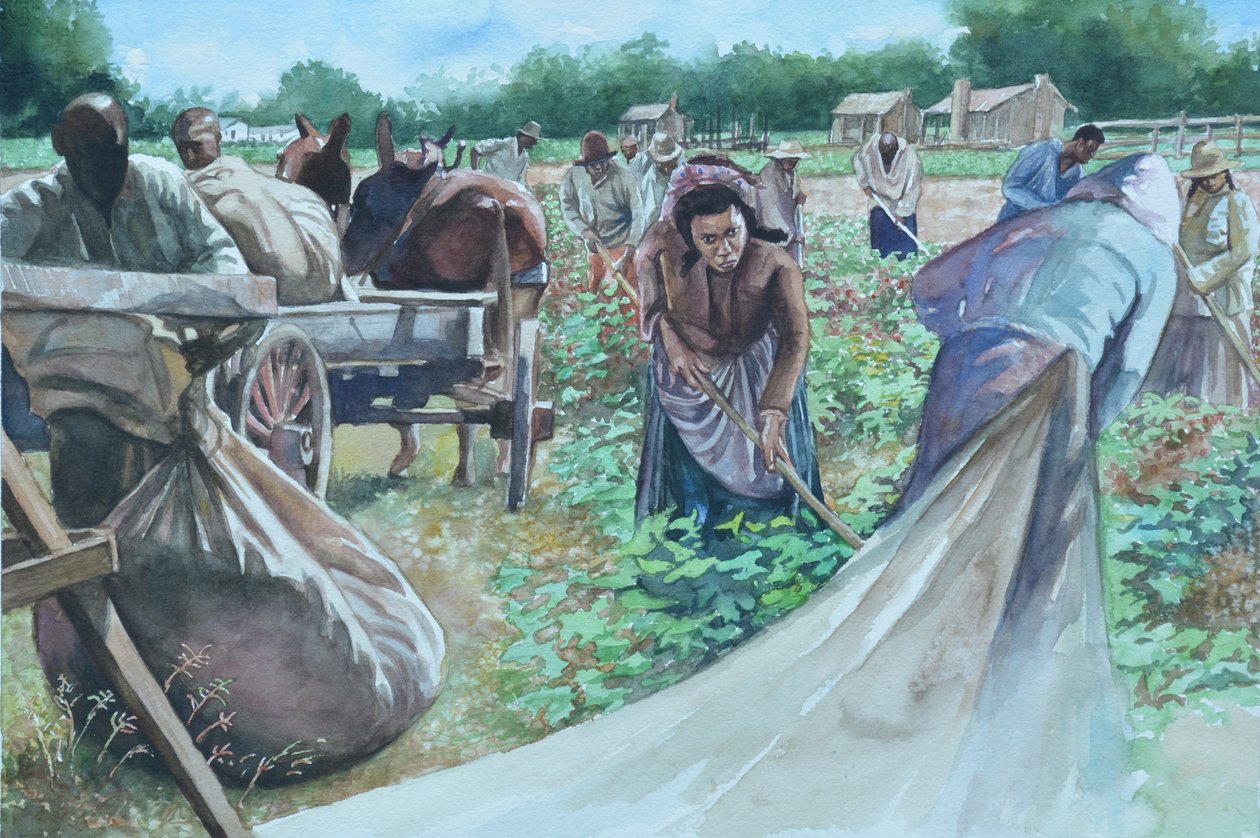Yıkıcı, 2010 by Colin Bootman