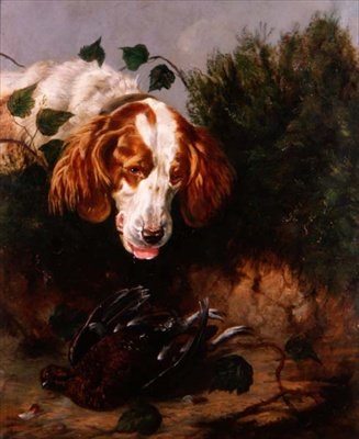 Sadece Vuruş - Ölü Bir Orman Tavuğu ile Spaniel by Colin Graeme