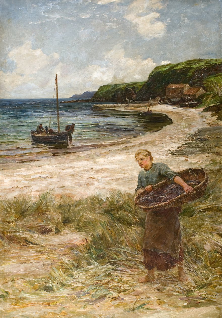 Çizgiyi Yemleyen Kız by Colin Hunter