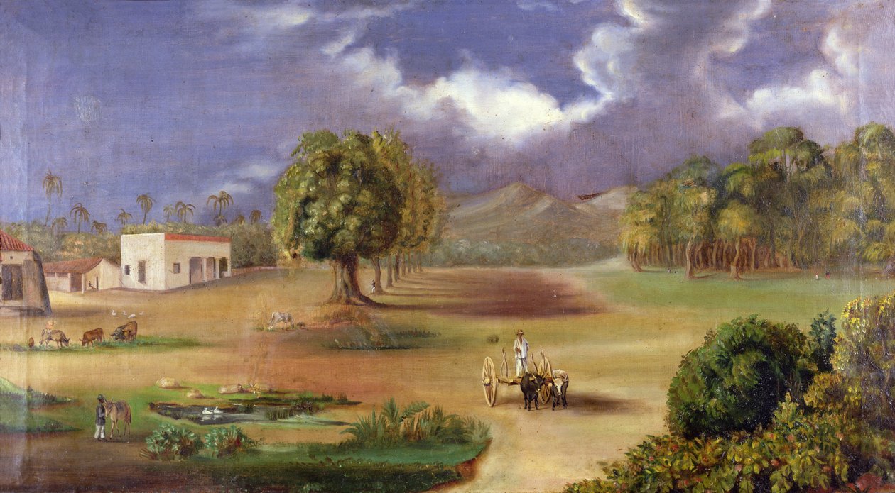 San Pedro Alejandrino Villası by Colombian School