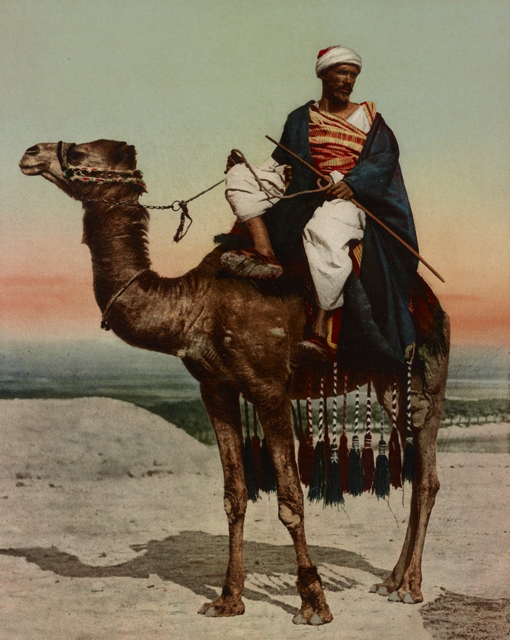 Bir Bedevi, Kahire, Mısır by Company Photoglob