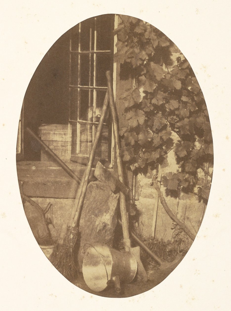 by Comte Olympe Aguado