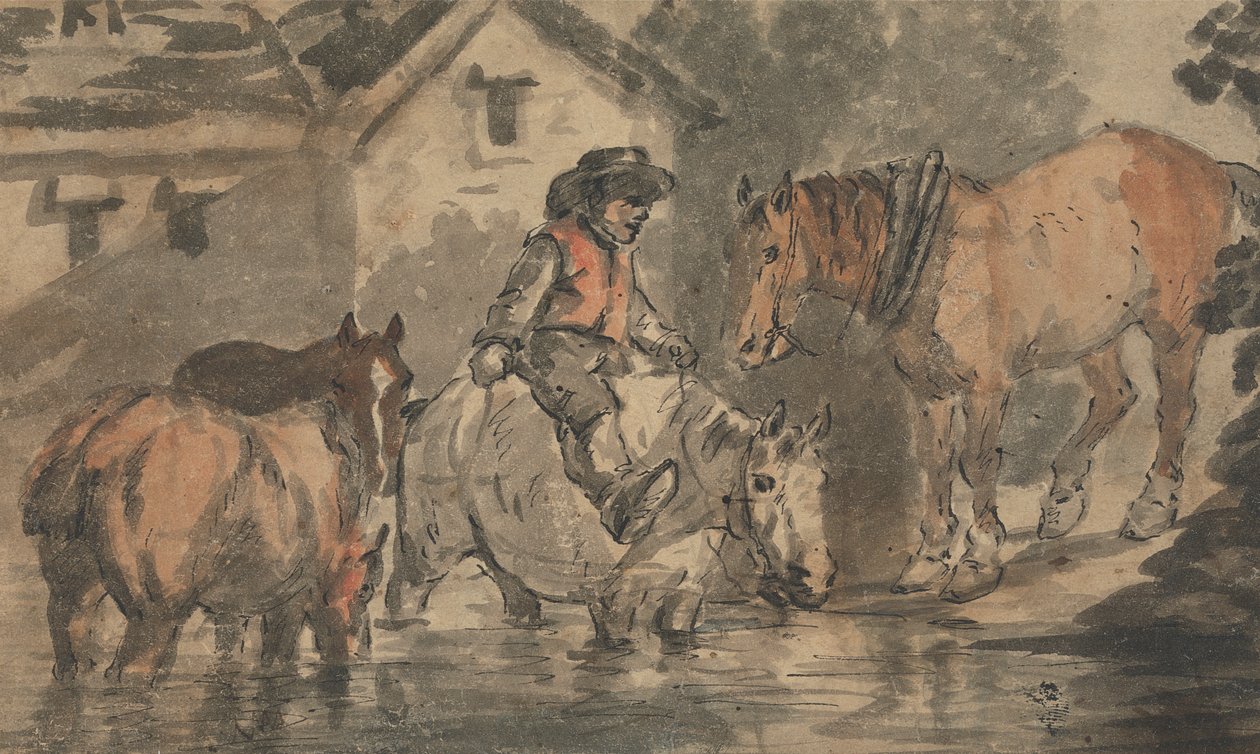 Dört Atı Sulayan Adam by Conrad Gessner