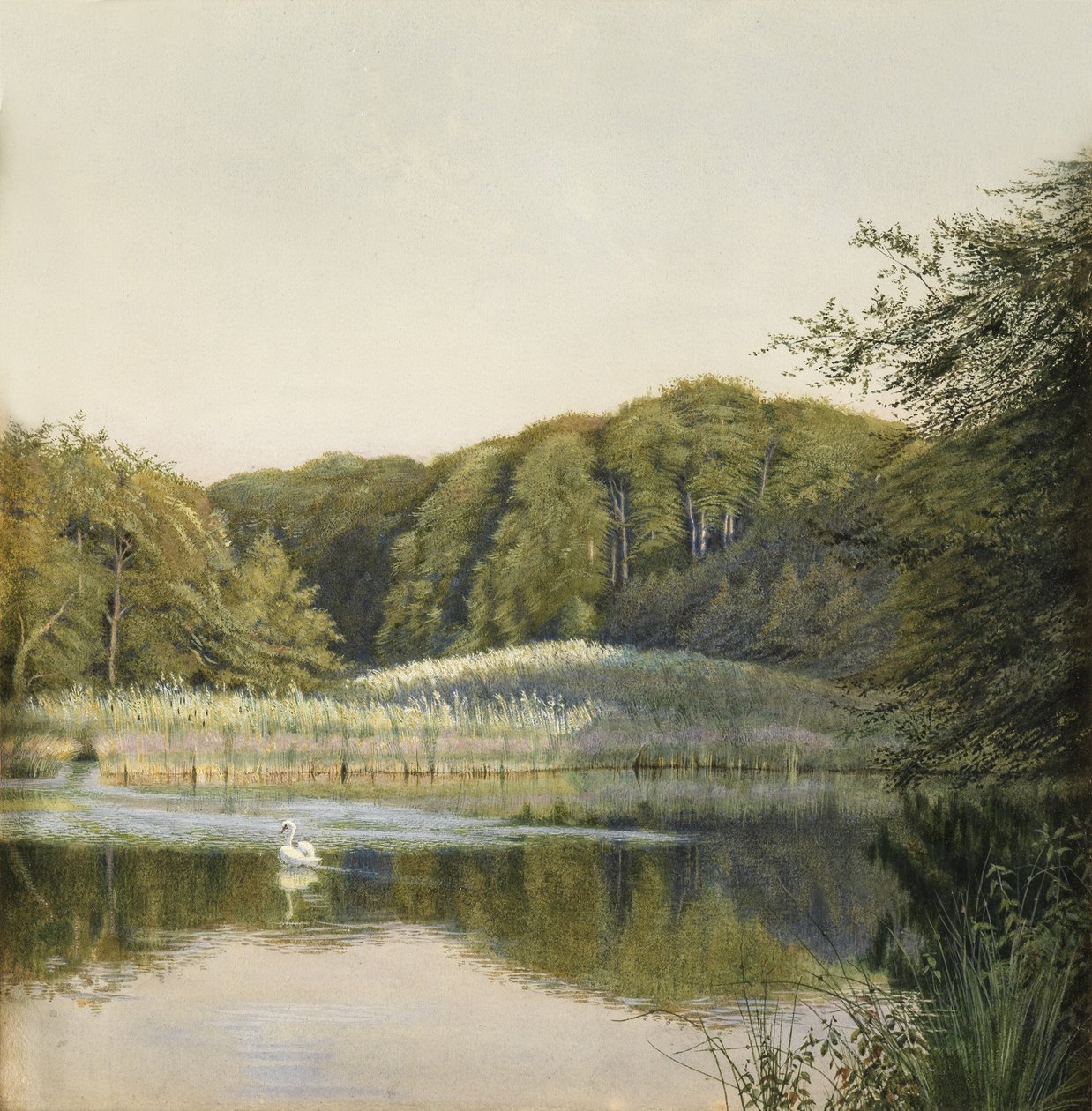 Paddington Pond