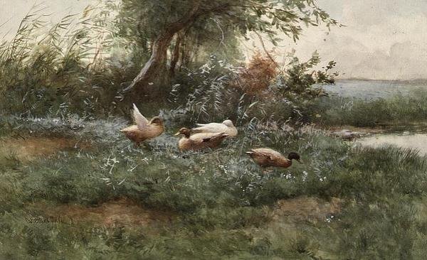 Göl kenarındaki ördekler (tuval üzerine yağlı boya) by Constant Artz