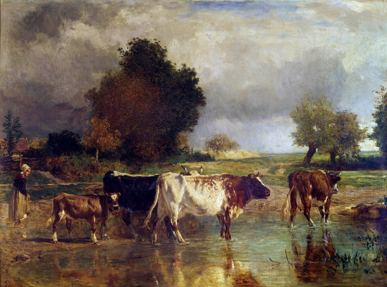 Havuzda veya sulama teknesinde inek ve dana eti Tablo Constant Troyon (1810-1865) 19. yüzyıl Güneşi. 0,78x1,03 m by Constant Emile Troyon